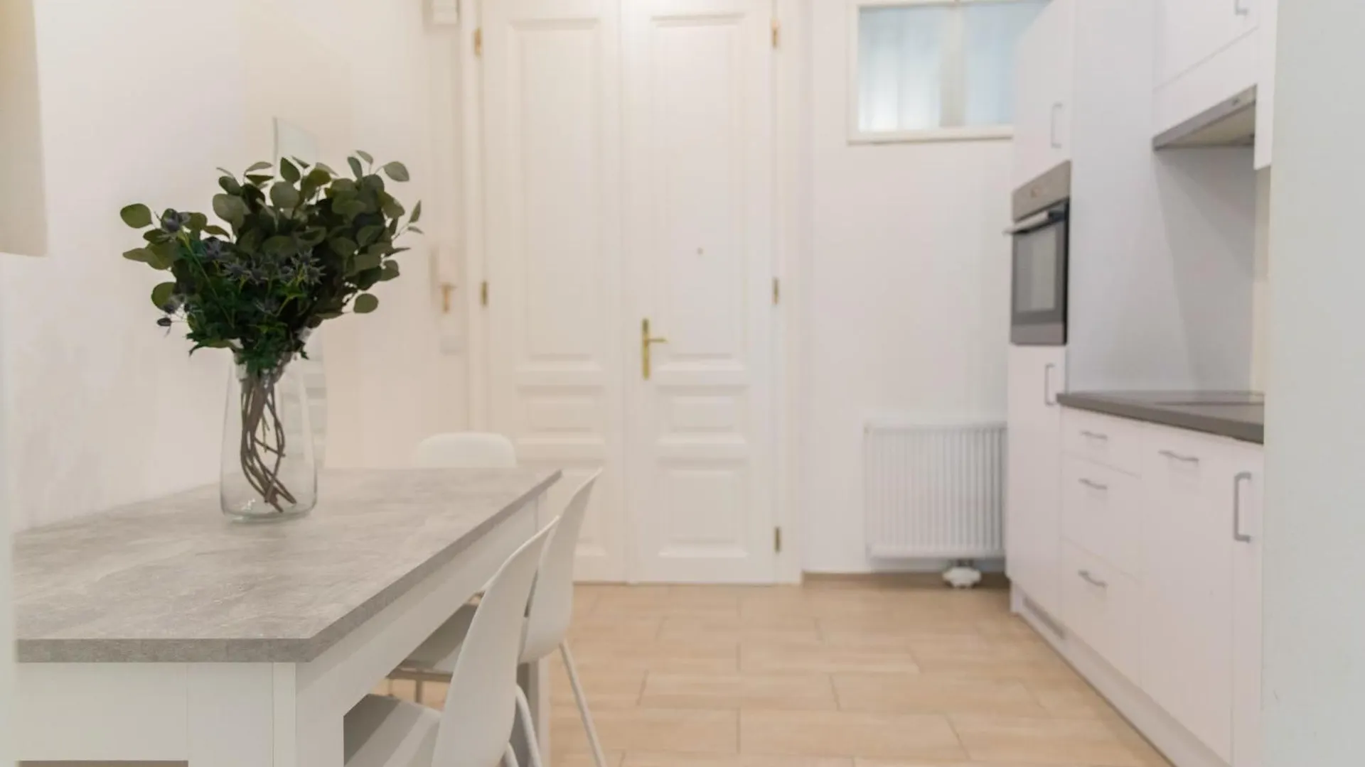 Apartment Next To Shopping Street, Few Stops Stephansplatz, Monthly Reservations Vienna